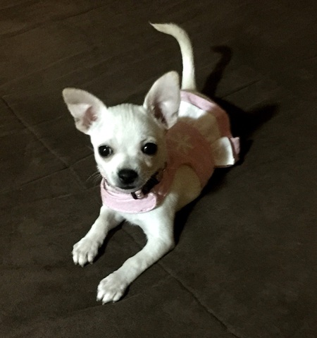 Maggie