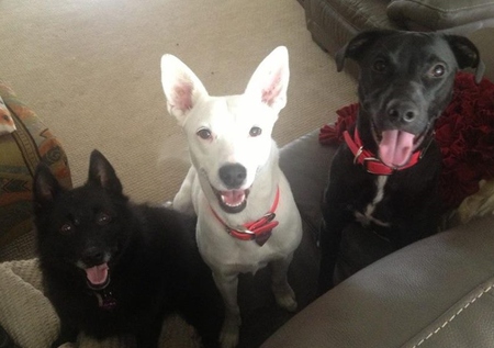 Lola, Emma & Khloe