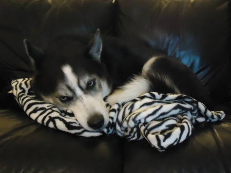 Max