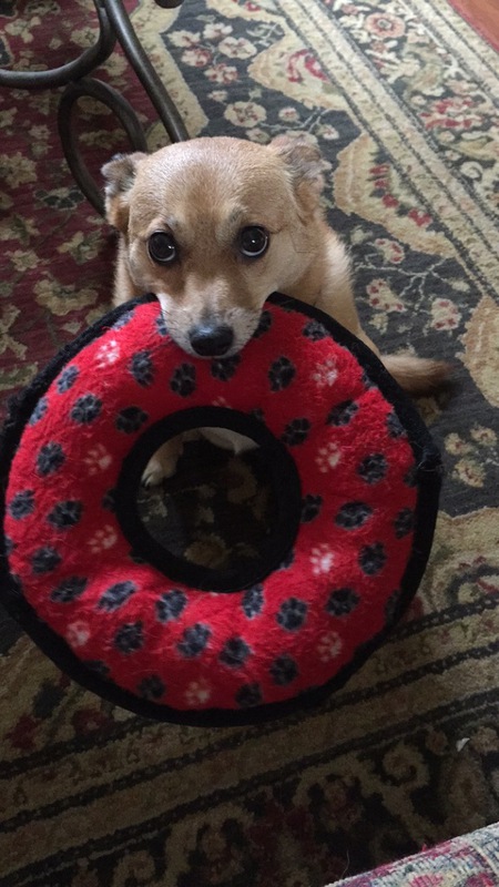 Chloe