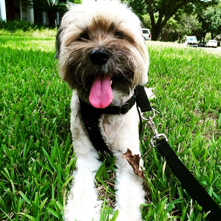 Coco  