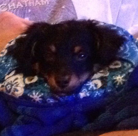 Tucker