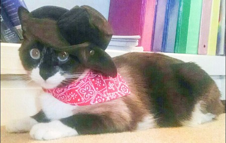 Cowboy Charlie