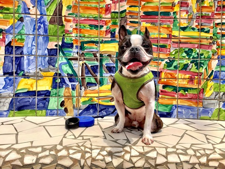 Oliver