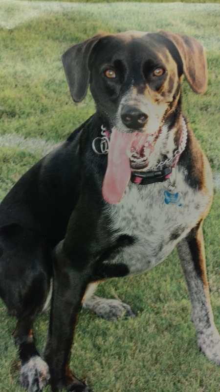 Lilly