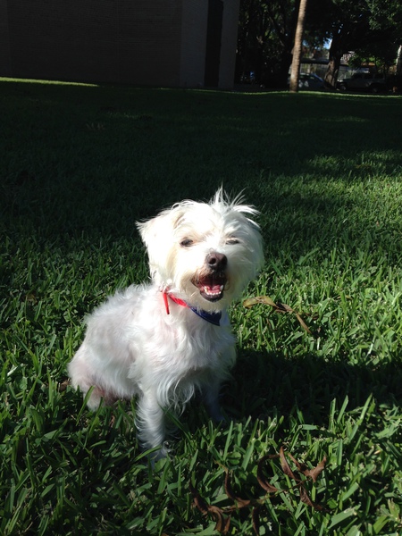 Charlie