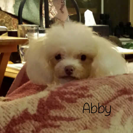 Abby