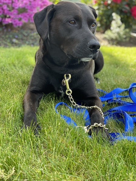 Finley O