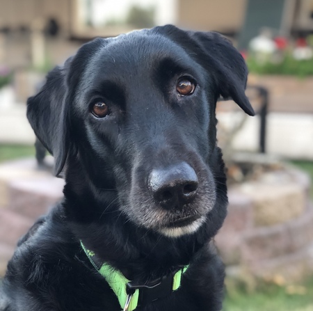 Tucker 