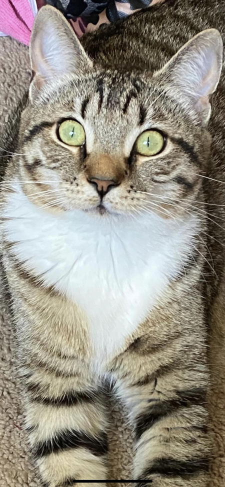 Urbyn 