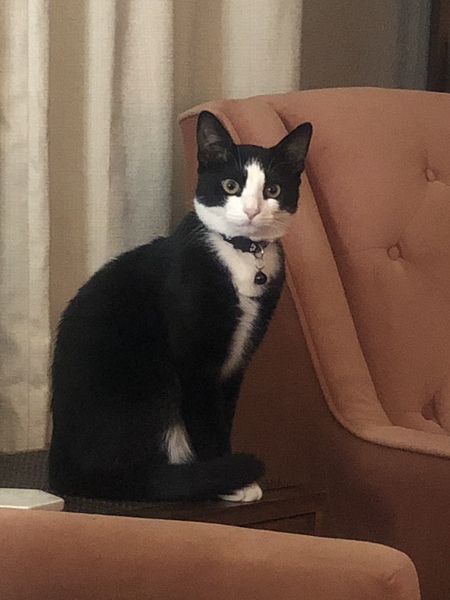 Binx