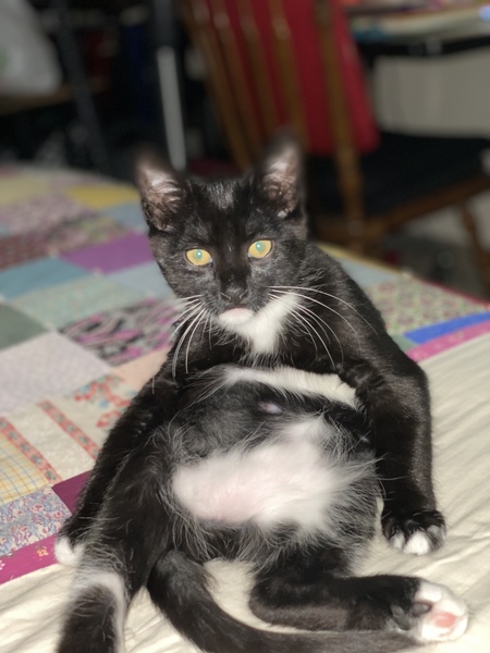 Oliver 