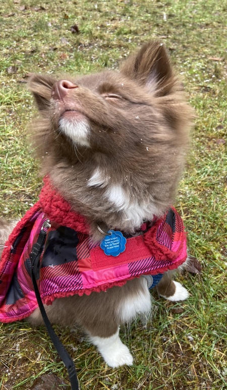 Milo