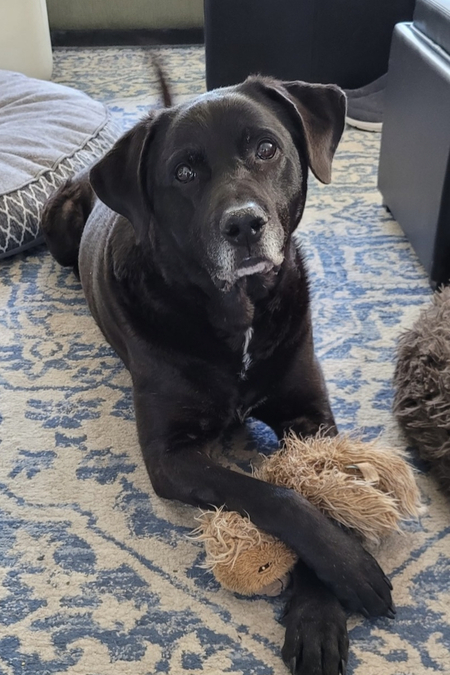 Jet