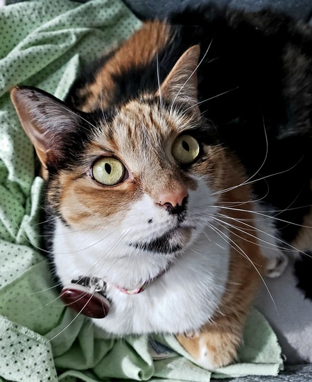 Gretel