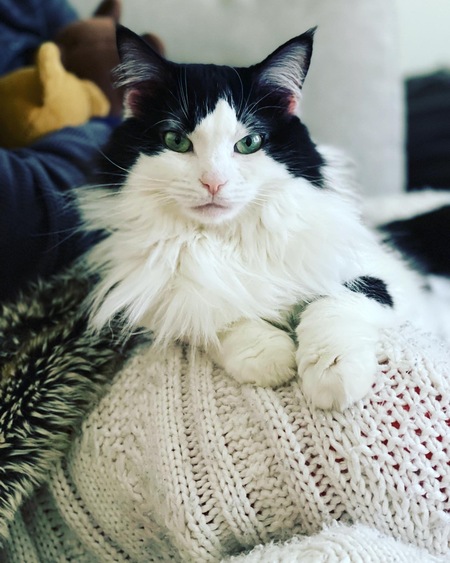 Chloe