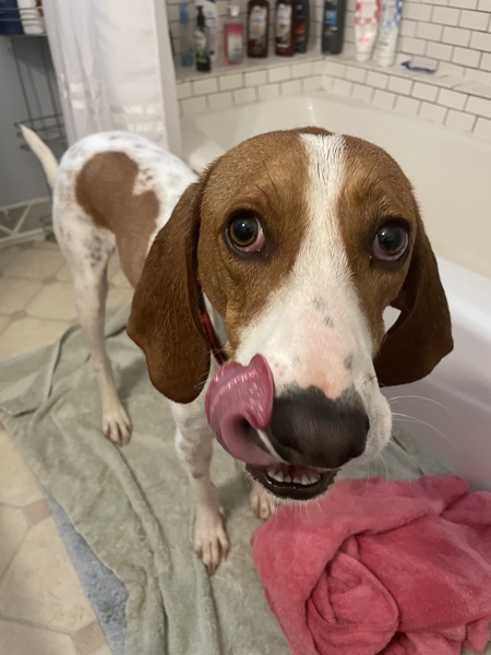 Teddy (formerly Roger)
