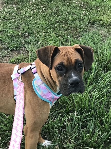 Maddie Mae