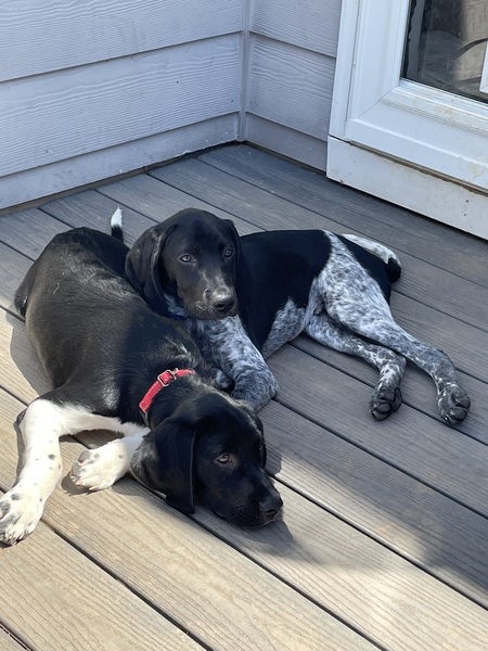 Chaps and Tux