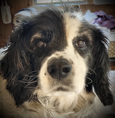 Lucy