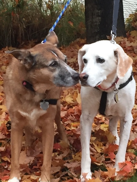Laverne and Sweet Caroline Friedman 
