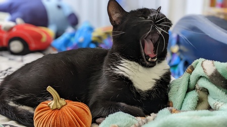 Max