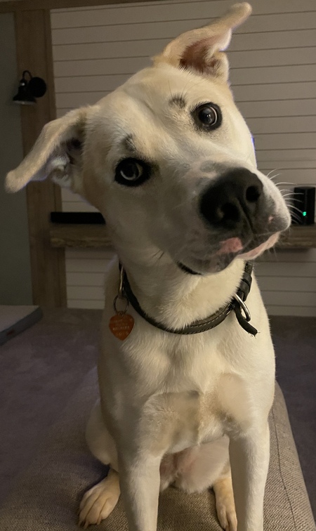 Maddie Mei (formerly Mei)