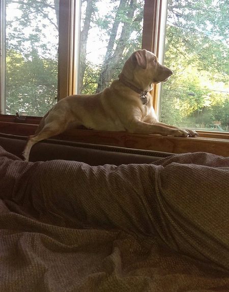 Emmy