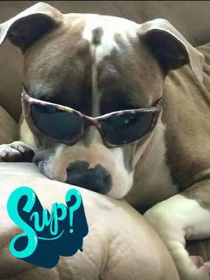 Jax