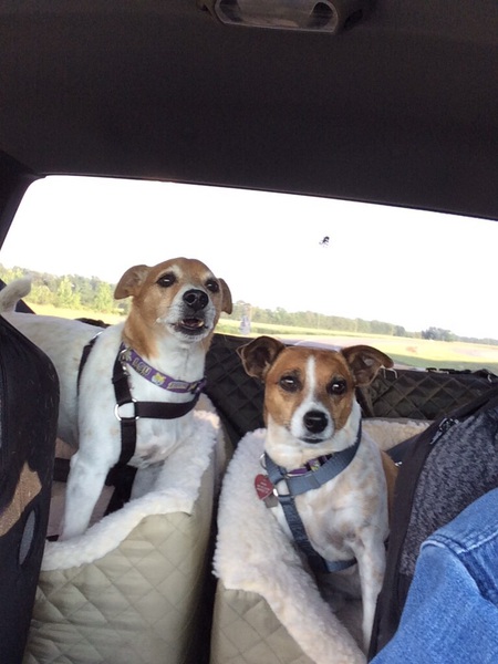 Bob & Ruby