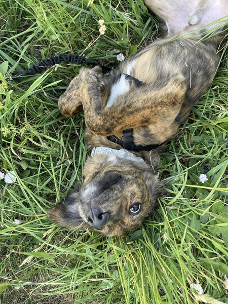 Entry image for Mud. Clicking this image will show a larger photo