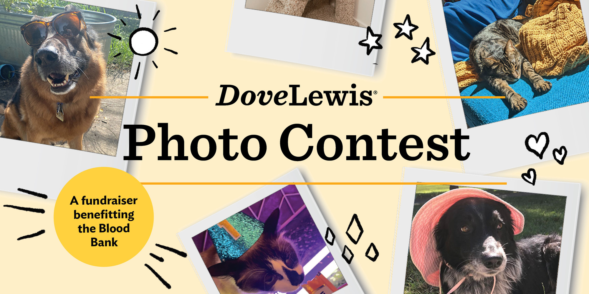 Banner for Summer Snaps