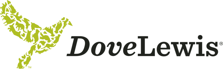 Logo for Summer Snaps