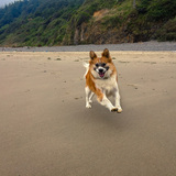 Entry image for Esteban