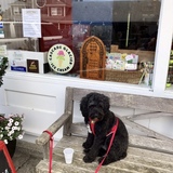 Entry image for Sebastian Winston