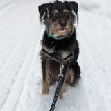 Entry image for Chance