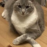 Entry image for Aggie Mae