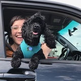 Entry image for Bubba Garklavs Saul 