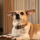 Entry image for Dugan Nash Garklavs Saul