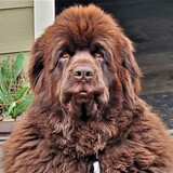 Entry image for Byron