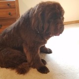 Entry image for Jack