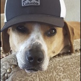 Entry image for Jasmine 