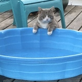 Entry image for Jasper 