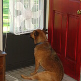 Entry image for BeeGee