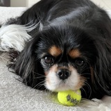 Entry image for Betty