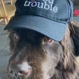 Entry image for Siobhan