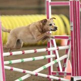 Entry image for Winthrop