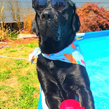 Entry image for Bentley 