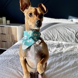 Entry image for Winnie