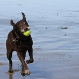 Entry image for Chance